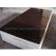 14mm Film Faced Plywood