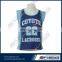 Wholesale Basketball Jersey and 5xl Basketball Shorts Designs