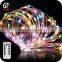 Waterproof Battery Operated Remote Control Led Bulb String Light