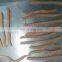Fresh Chicken Meat Strip Cutting Machine
