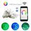 Ball String Light Holiday Decoration Wedding Party Fairy LED  Christmas Light mobile phone control