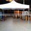 High quality advertising 100 persons event 10*10 pop up 3*3 folding tent