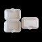CT5 Factory Customize Disposable Hinged Lid Clamshell blister food container for buger noodles