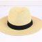 Hot Sale Quality Fedora Panama Hats Wholesale Summer Paper Adjustable Unisex Beach Panama Straw Hat