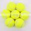 Durable Pet Dog Training Balls Customized Logo and size Multi-color Tennis Ball