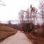 Richuan new design vertical wind turbine 300w /24v wind solar hybrid street lights