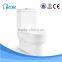 Porcelain home washdown two piece chinese new design toilet W8049
