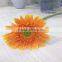 Wholesale Fresh Cut Grebera Flower Kunming Flowers Export
