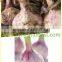 2016 fresh garlic,normal white garlic, pure white garlic