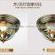 Modern LED Ceiling Lights 220V/110V Living Room Ceiling Lamps