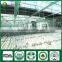 China Wholesale Fresh Dry Sawdust Spawn of Shiitake Mushroom Cultivation