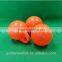 products made blow moulding for fishnet buoy
