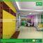 Colorful wpc DIY interior/exterior /painting /planing