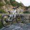 Tornado, 2016 new model mountain electric bicycle with lcd display