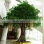 3.5 meters tall China supplier natural look artificial miniature banyan tree for sale