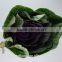 2016 wholesale high quality purple peony cut flowers