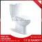 New Products on China Market That Toilet Suite and Automatic Toilet Flush