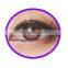 wholesale color contact lens I-CODI Giselle SW4 pink circle contact lens