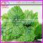 decoration wrought iron grape leaf