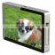 10.1" Lcd Wall Mount Media Player