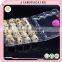 24 holes disposable clear plastic quail egg tray