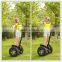 Electric Personal Transporter Two Wheel Self Balanced Vehicle