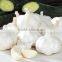 2016 Chinese high quality fresh garlic price Pure White Garlic alho fresh garlic