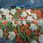 blended frozen bulk manufacturer fruits and vegetables model