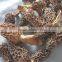 chinese black morel mushroom black fungus mushroom Morchella esculenta dried price
