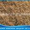 Bottled freeze dried bloodworm