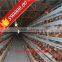 Design automatic equipment A type chicken house in poultry farm