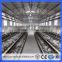 Guangzhou Factory chicken cage for layer poultry farm for sale 96 birds capacity chicken layer cage