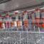 Poultry Pig Farm design equipment for Pigs