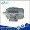 Stainless Steel Electric Motor