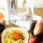 Greenwell 1 Tri Blade Vegetable Slicer - Spiral Cutter - Spiralizer for Vegetables, Fruit and Raw Food Cuisine