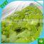Insect killer fruit tree netting basket with net cover