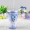 Double Wall Plastic Acrylic Paper Insert Tumbler With Straw