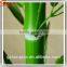 Factory cheap price artificial bamboo tree customized fake artificial bamboo plastic artificial bamboo tree