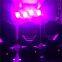 Zoom Gobo 4 in1 Beam Prism DMX stage wedding light Moving Head Light 7r 230w