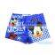 Kids Little Boys Cute Cartoon Bathing Swimming Beach Shorts Pants~Children's Swim Boxer Underwear Trunks~Accept Custom