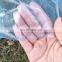 UV plastic sheets greenhouse film, clear plastic film for greenhouse