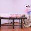 Distributors Wanted Q-switch ND YAG laser tattoo removal  eyebrow removal equipment