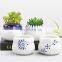 Meaty white porcelain flowerpot green plant flower pot hand-painted creative ceramic mini pot