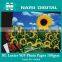 Luster RC Inkjet Photo Paper For Pigment ink 180gsm