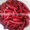Sinocharm Frozen vegetable BQF Hot Pepper Red Frozen Chilli Puree