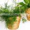 Hot Sale Hanging Hyacinth Planters Set of 2 Boho Wicker Straw Cover for Flower Pot Vietnam Manufacturer