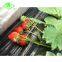 30mic plastic mulch film for strawberry