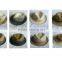 Mixture Fashion Paper Straw Fedora Hat With Cheap Price