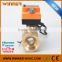 Winner 220V Volt AC Motorised Water Flow Control Ball Valve in Hunan