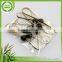 Advertising Quick Releasemoso Bamboo Plants With Flower Knot Sticks